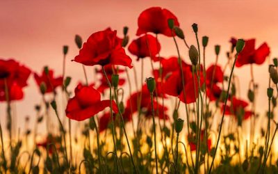 From the President – ANZAC Day 2021