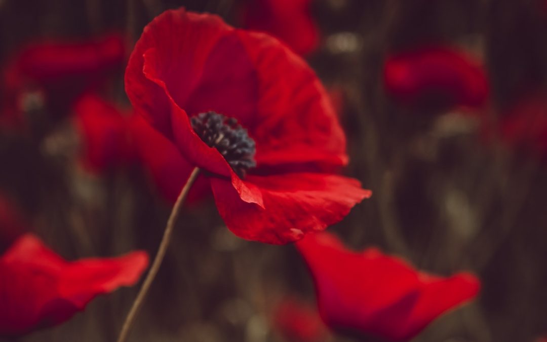 ANZAC Day 2022 ‘Rifle Shooters remember the sacrifice and Commitment’